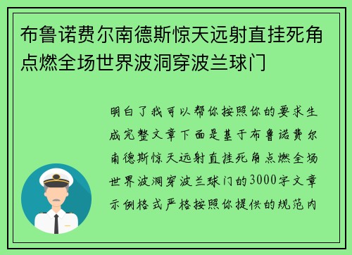 布鲁诺费尔南德斯惊天远射直挂死角点燃全场世界波洞穿波兰球门